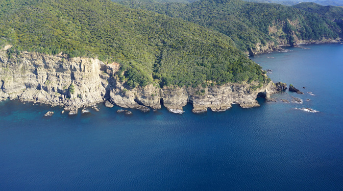 View of Windy Hill and it's vegetation.