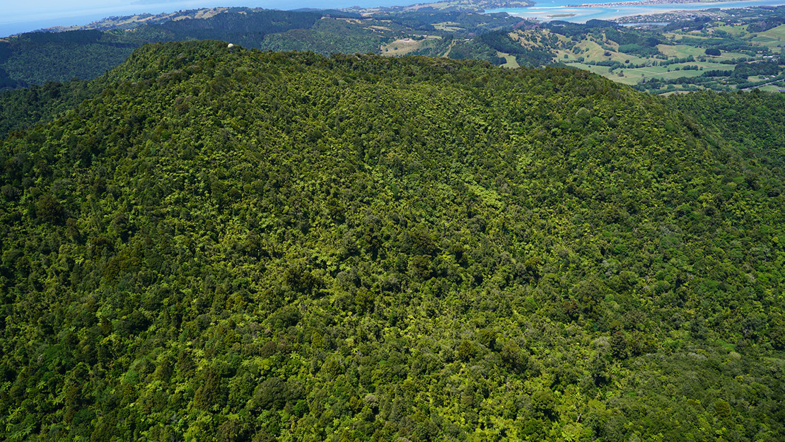 Tamahunga Ecological Area and trig station.
